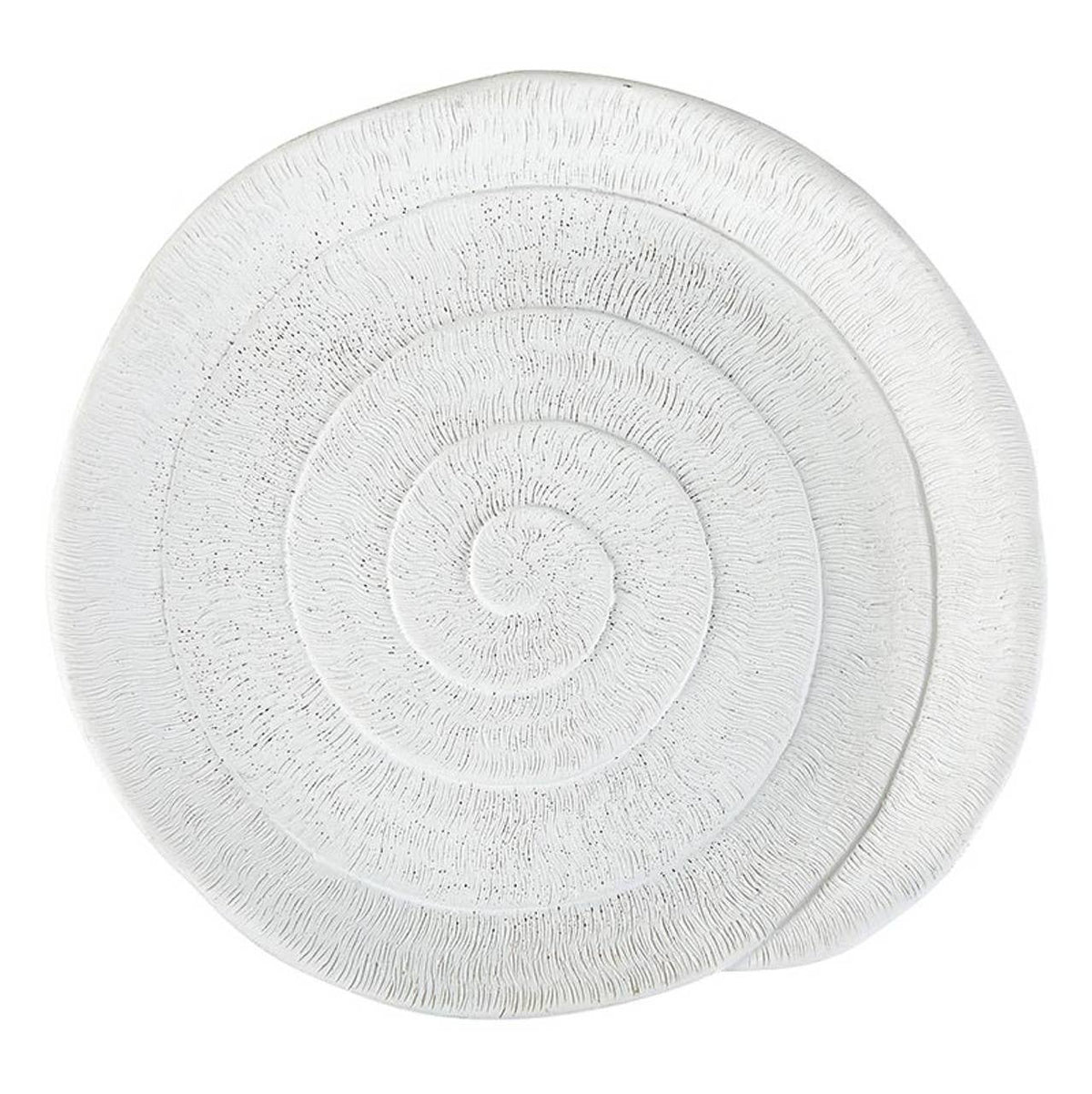 Matte White Shell Decor