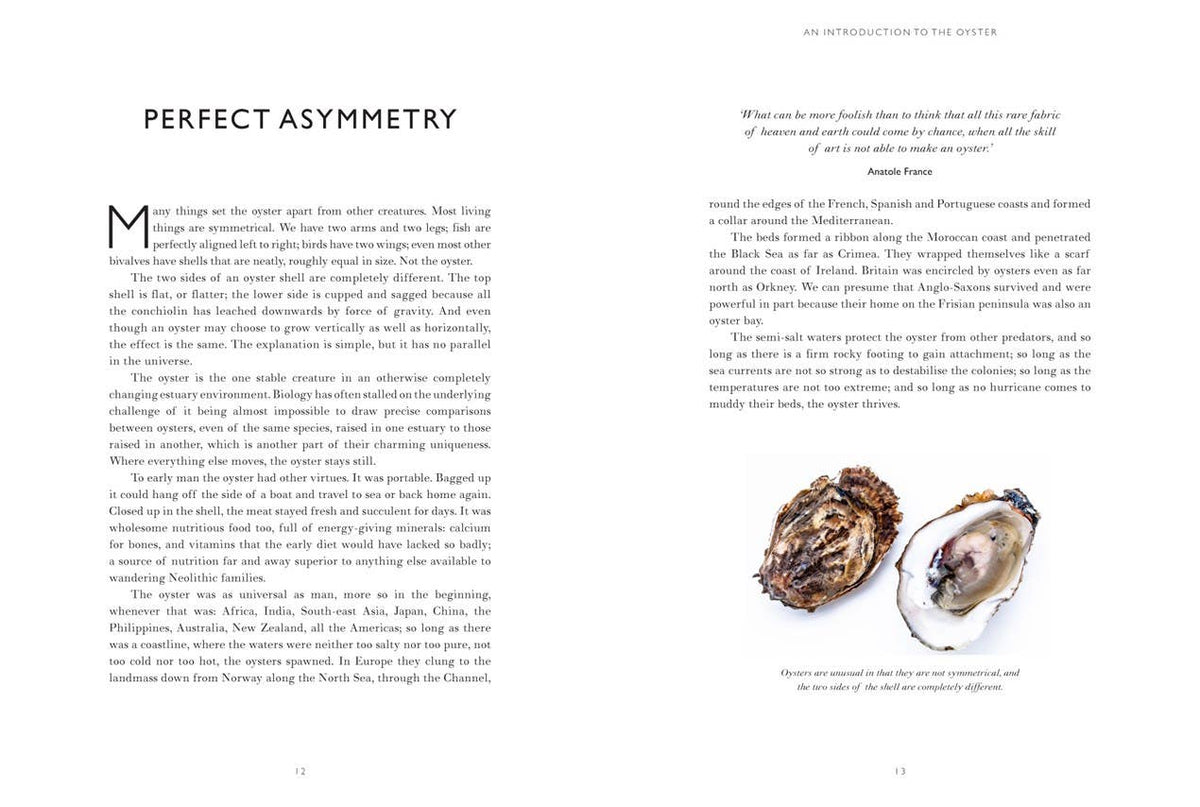 Oyster: A Gastronomic History