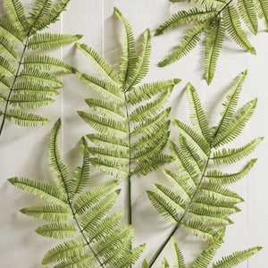 Tree Fern Stem 42.5"