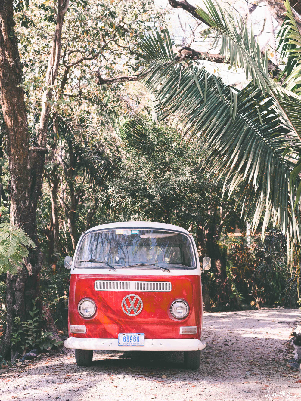 "Jungle Bus" Art Print