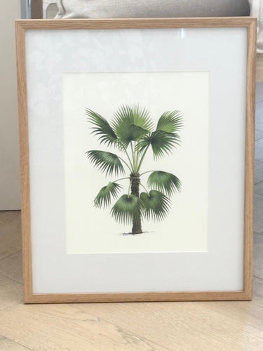 Vintage Palm Tree Illustration Print, Design 1