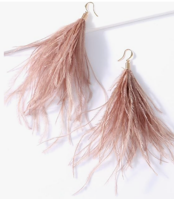 Feather Long Dangle Earrings