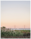 "Harbor Sunset Sailing" 8"x10" Print