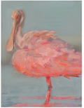 "Spoonbill" 8"x10" art print by Ryan Beck