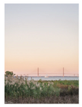 "Harbor Sunset Sail" Post Card