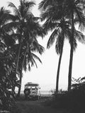 "Secret Spot" Art Print (2 Sizes Available)