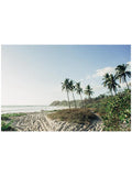 "Welcome to Pura Vidadise" Art Print