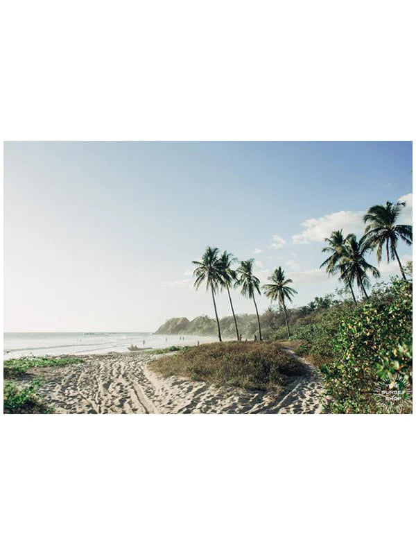 "Welcome to Pura Vidadise" Art Print
