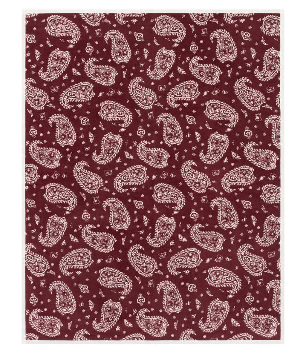 Palmer Paisley Blanket: Original