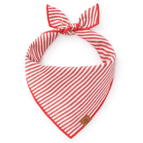 Red Stripe Holiday Dog Bandana: Large