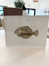 Load image into Gallery viewer, &quot;Southern Flounder Fish&quot; 6&quot;x8&quot; framed print by Ryan Beck