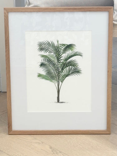 Vintage Palm Tree Illustration Print, Design 2