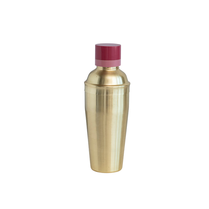 Cocktail Shaker w/ Resin Top