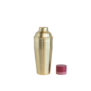 Cocktail Shaker w/ Resin Top