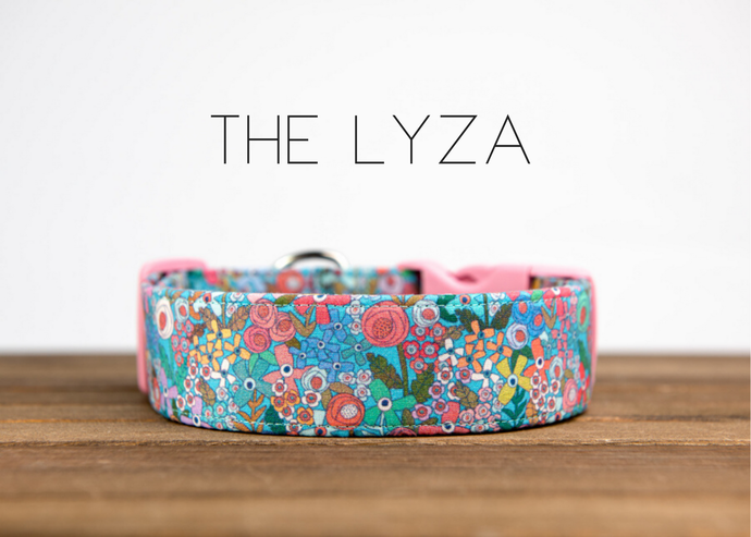 The Lyza
