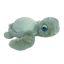 Load image into Gallery viewer, Capers the Turtle Plush Toy
