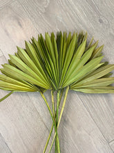 Load image into Gallery viewer, Natural Dried Palm