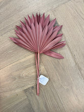 Load image into Gallery viewer, Natural Dried Palm